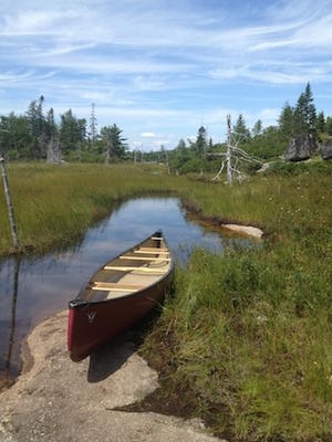 A picture I took while canoeing through Birch Cove Lakes with Chris Miller.