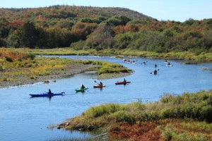A photo of several people kayaking down the St. Mary's River on the Eastern Shore. The river wind through a wooded areas. 