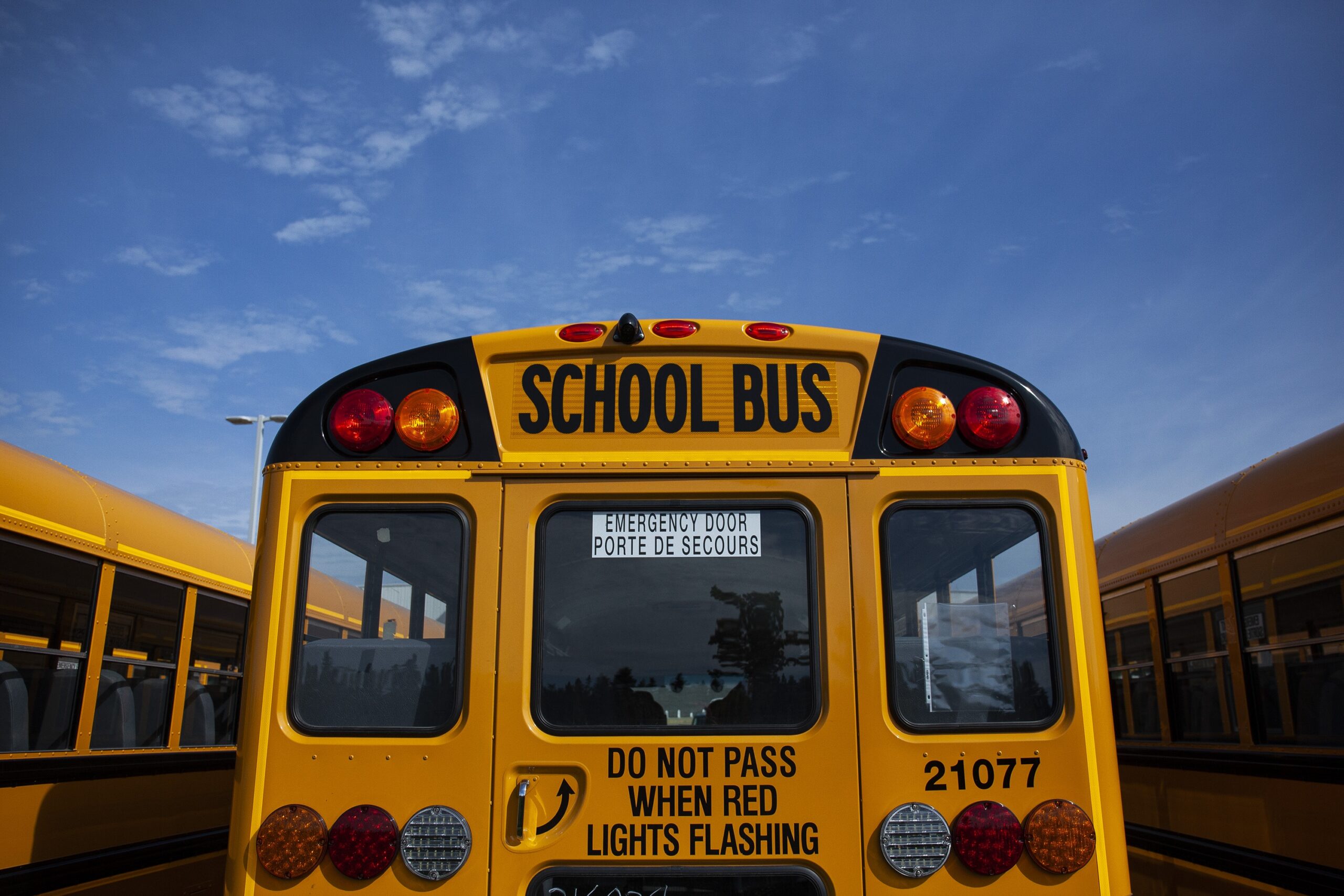 The bright orange rear end of a school bus is photographed looking upward to ward an azure blue sky.