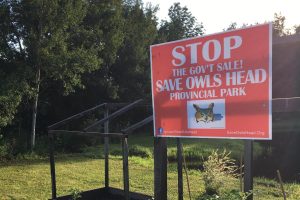 A red roadside sign that says Stop the Government Sale! Owl's Head Provincial Park with a drawing of an owl.