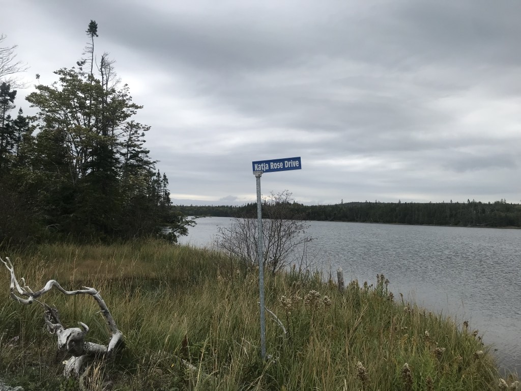 A photo of a street sign that says Katja Rose Drive. The sign is on Evans Island on a grassy area on the side of the road. There's a waterway on the right side and a piece of driftwood sits to the left of the sign. Photo: Joan Baxter