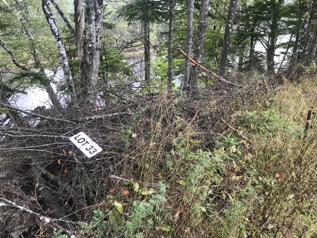 Canadian Pioneer Estates Lot 33 on edge of Lower River Inhabitants. The lot 33 sign is sitting on top of some dead brush and thickets. Photo: Joan Baxter
