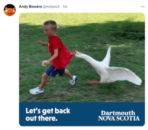 An ad with Let's get back out there showing a little boy being chased by a goose.