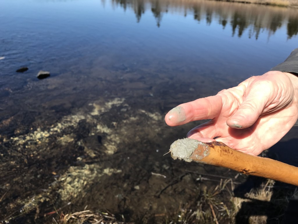 This photo shows a stick end on which the whitish clay substance that resembles historic mine tailings has been collected from Barry's Run. On a fingertip, it looks very much like historic mine tailings. 
