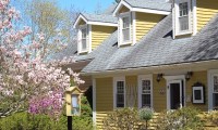 A view of a historic yellow house with white trim with a magnolia tree just near the front door.
