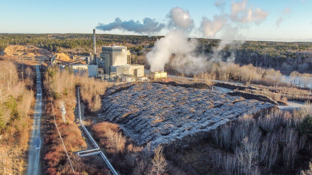 The Brooklyn Biomass plant belching smoke
