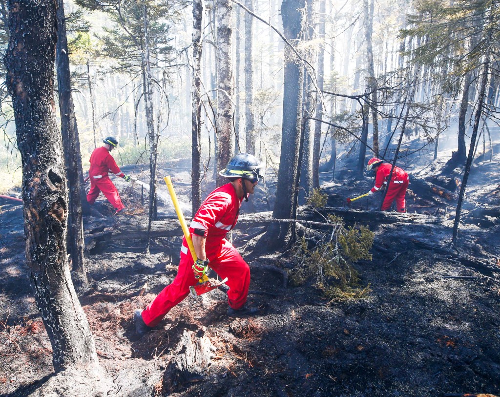 Three men wearing red firefighter uniforms are working in the woods.