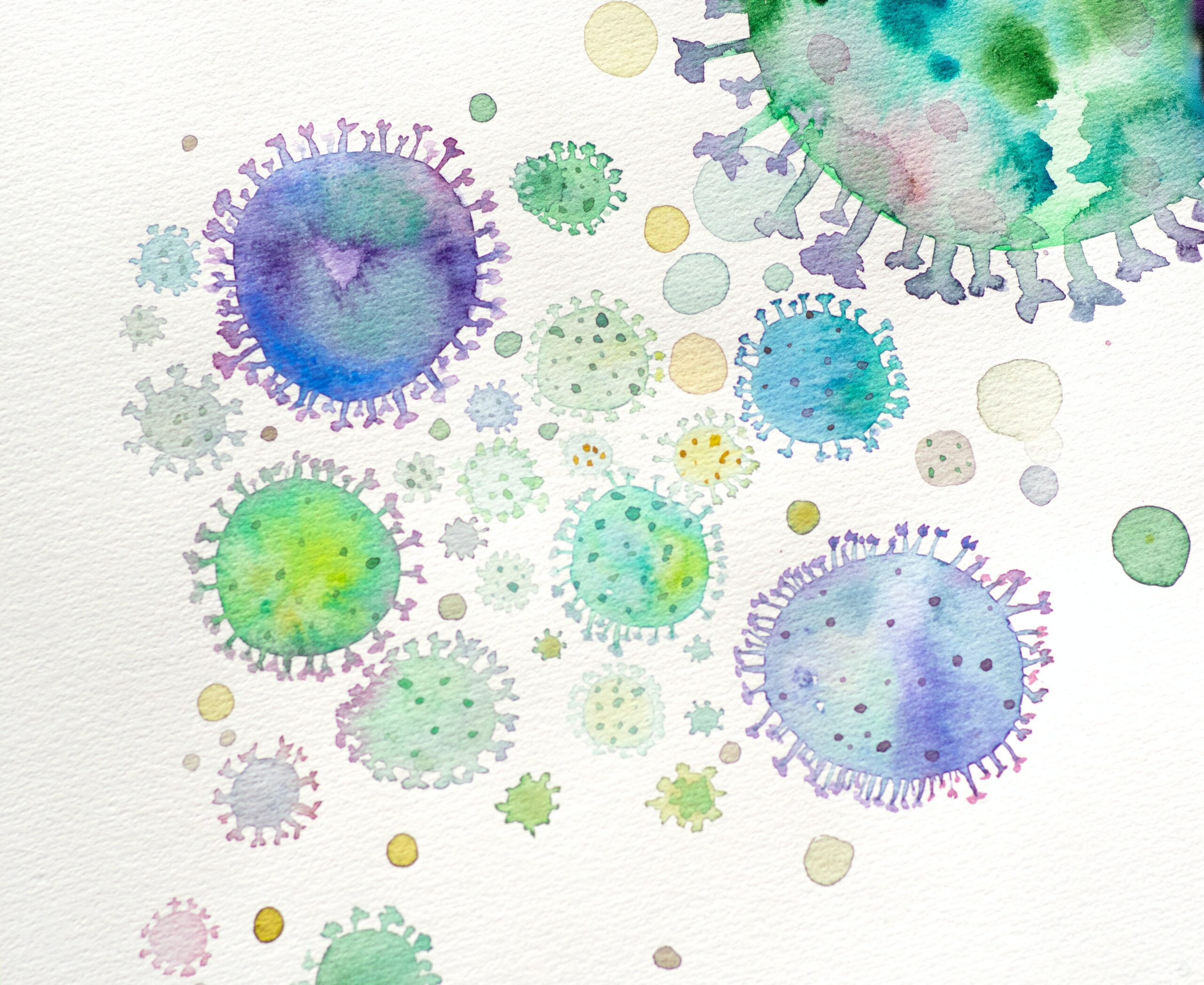 A watercolour painting of Coronaviruses, done in purples, greens, and blues.